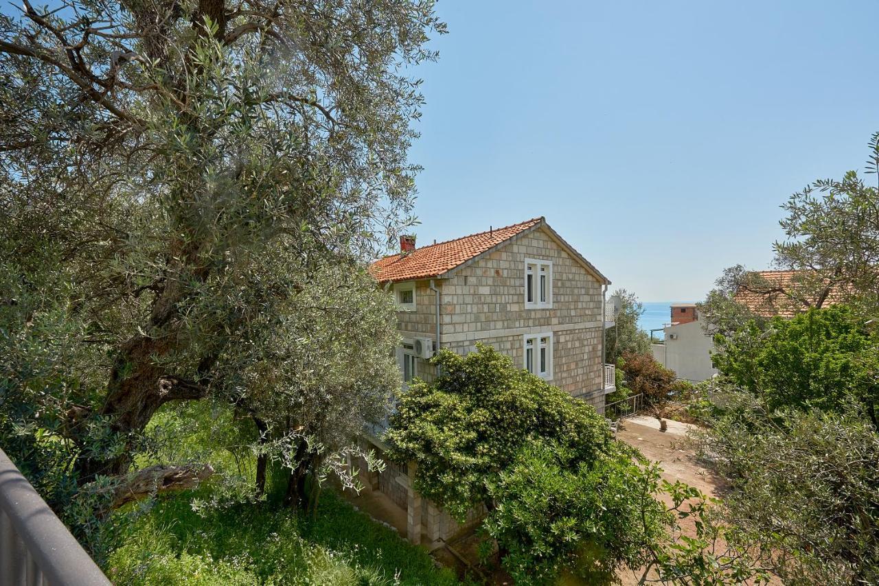 Apartmani Kuća u maslinama Sveti Stefan Bagian luar foto