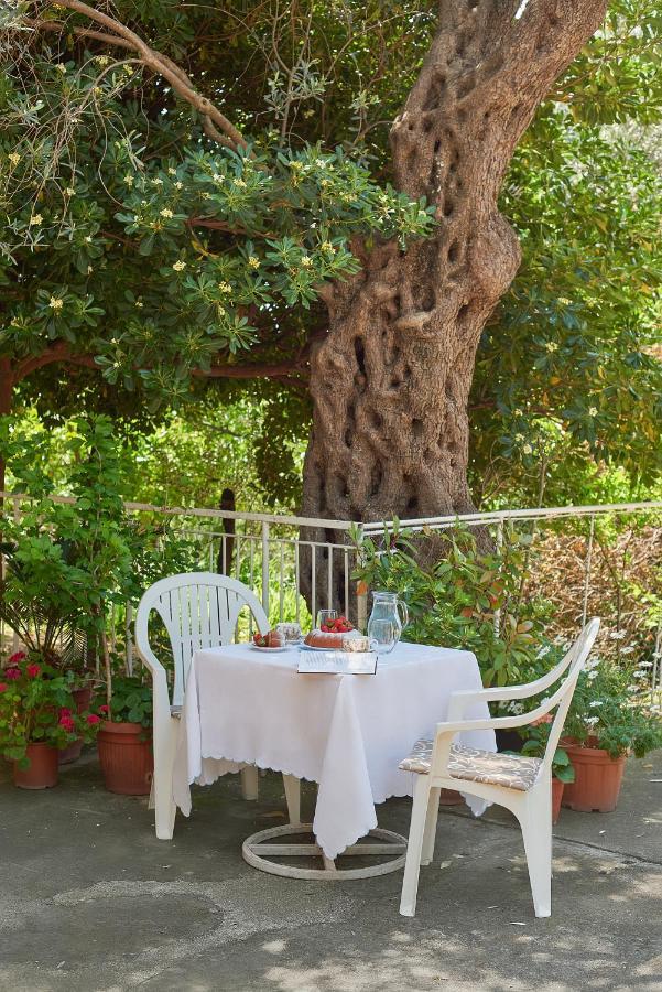Apartmani Kuća u maslinama Sveti Stefan Bagian luar foto