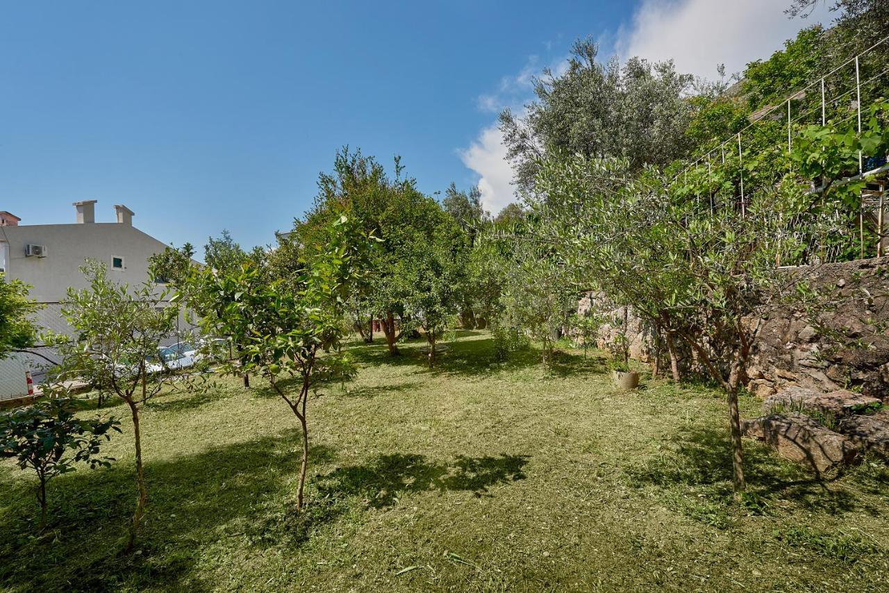 Apartmani Kuća u maslinama Sveti Stefan Bagian luar foto